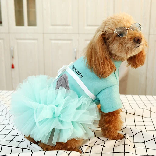 Title 3, Woolen Lady Temperamental Gauze Skirt Pet Cat C...