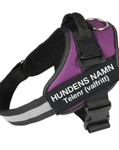Image product - 2