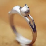 S925 Frosted Ring with box