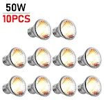 10 pcs