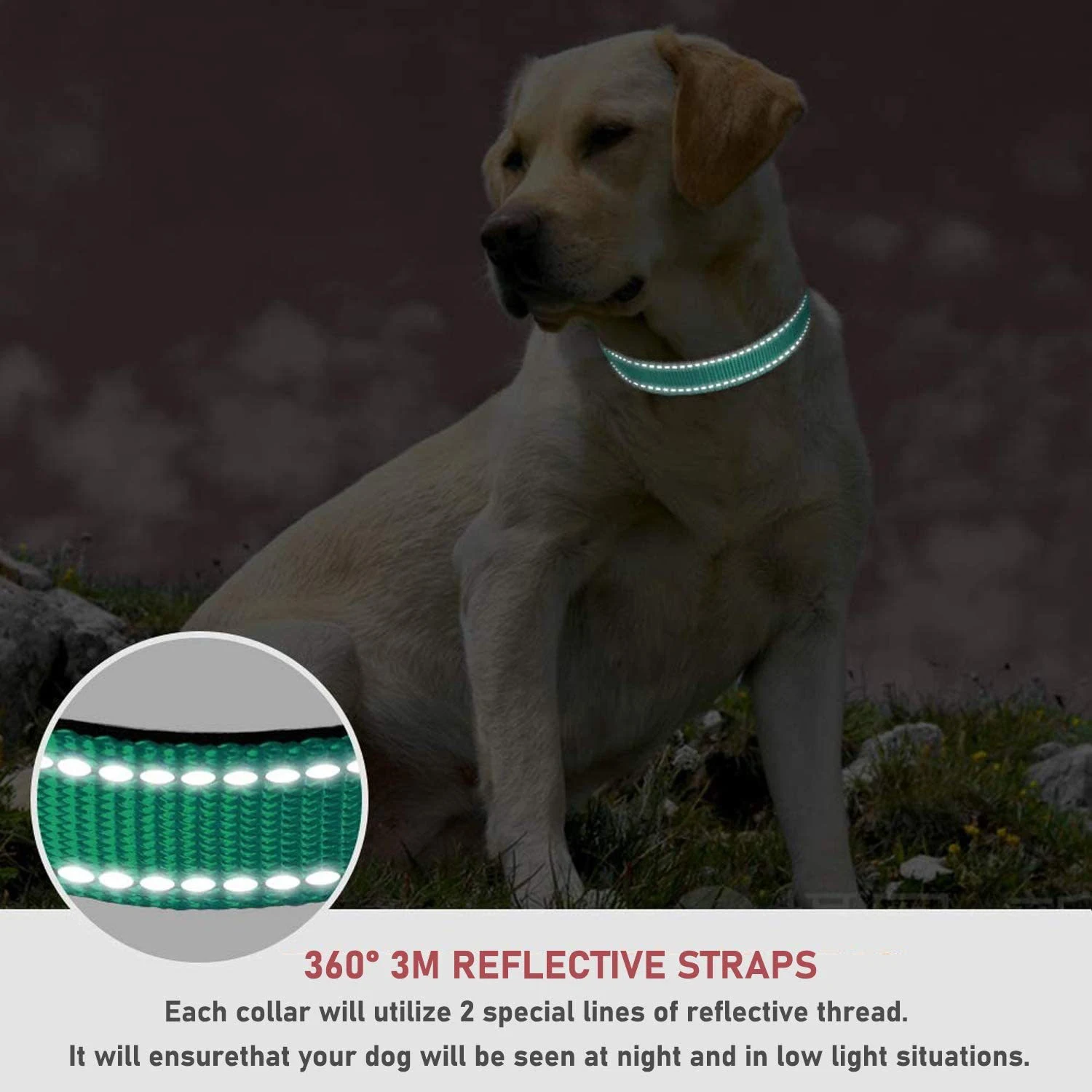 product image - 19