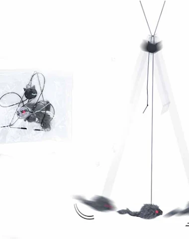 Image product - 1