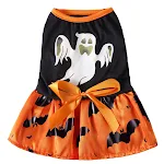 Autumn Clothes for Four-legged Pets Keep your dog warm and stylish this fall season. Comfortable and protective clothing — photo 7
