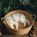 miniatures image - 2