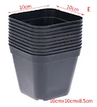 10PCS