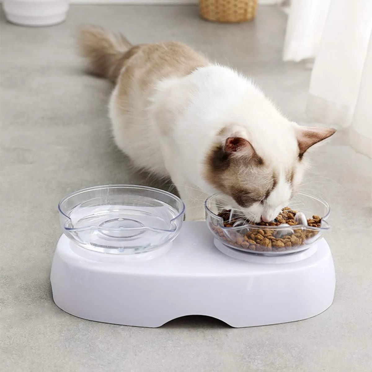 Title 3, Cervical Spine Protection Plastic Cat Bowl with...