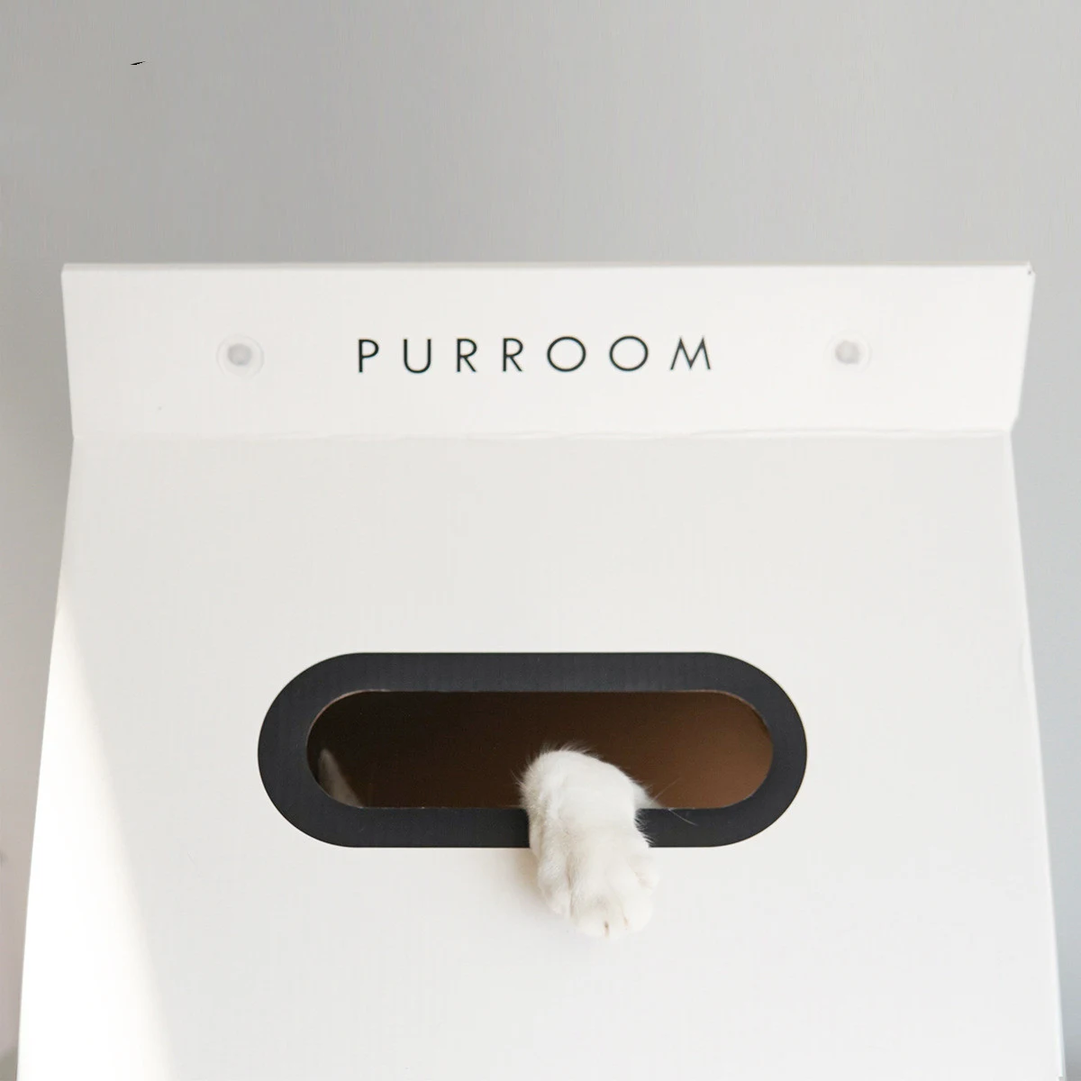 Title 4, Wear-resistant Corrugated Cardboard Box Cat Cat...