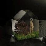 miniatures image - 5