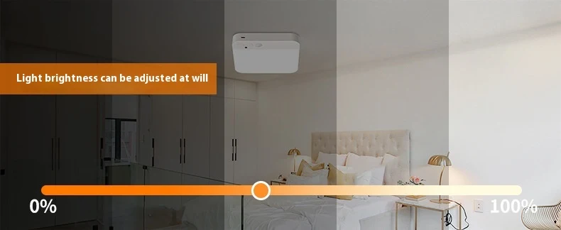 Title 5, LED Ceiling Lamp with Infrared Sensor for Corri...
