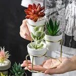 miniatures image - 1