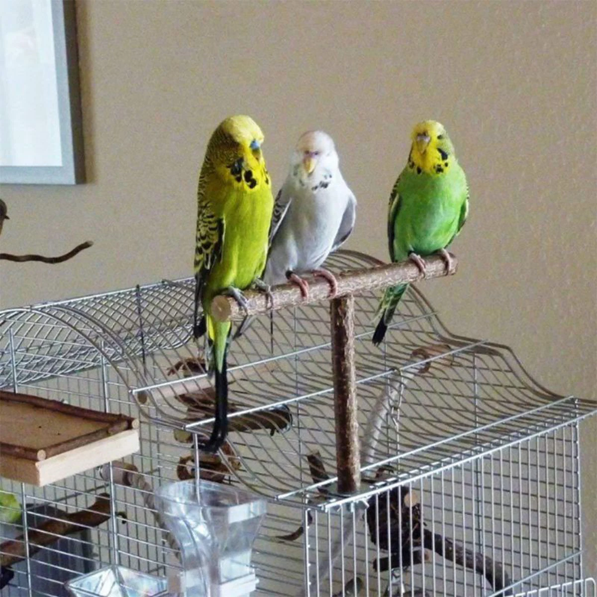 Title 8, 5Pcs Natural Wood Parrot Stand Bird Perch Stand...