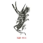 XQB 014