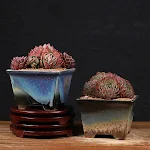 miniatures image - 15