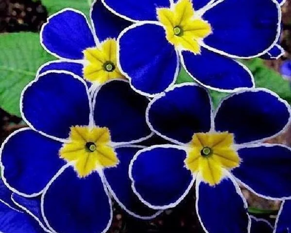 product image - 12