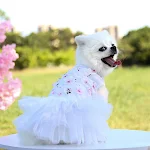 miniatures image - 9