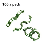 100 Packs Of Green