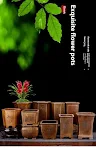 Minimalist Creative Porcelain Small Flower Pot for Orchid, Grass, and Succulent plants. Enhance your home decor with thi — photo 4