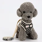 Small Dog Leash, Korean Vest Style Teddy with Bowknot Evening Dress, Chest Strap for fashionable walks, perfect for smal — photo 5