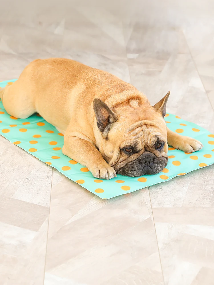 Title 3, Pet gel ice pad. Provides cooling comfort for d...
