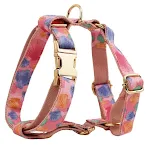 Dog Vest