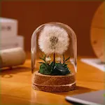 miniatures image - 7