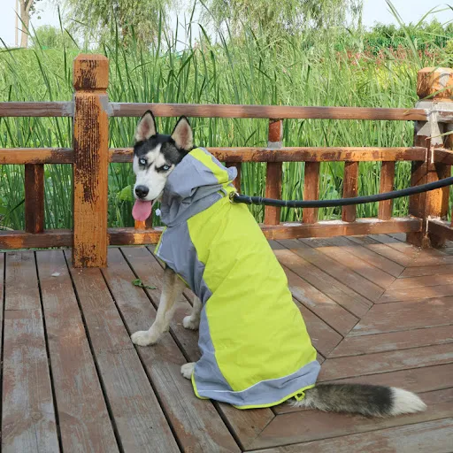 Title 2, Color Block Cloak Big Dog Raincoat Outdoor Brea...