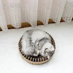 miniatures image - 2