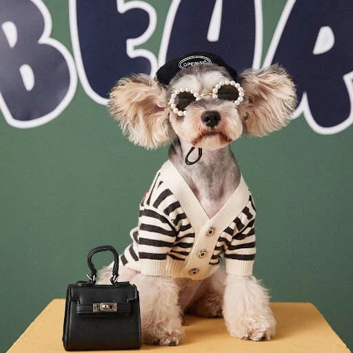 Title 1, Pet Small Dog Striped Sweater Cardigan, a cozy ...