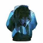 3D Digital Print Loose Sports Casual Sweatshirt Hoodie. Comfortable and stylish for workouts, leisure, and everyday wear — photo 1