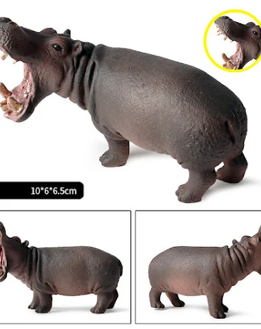 Image product - 3