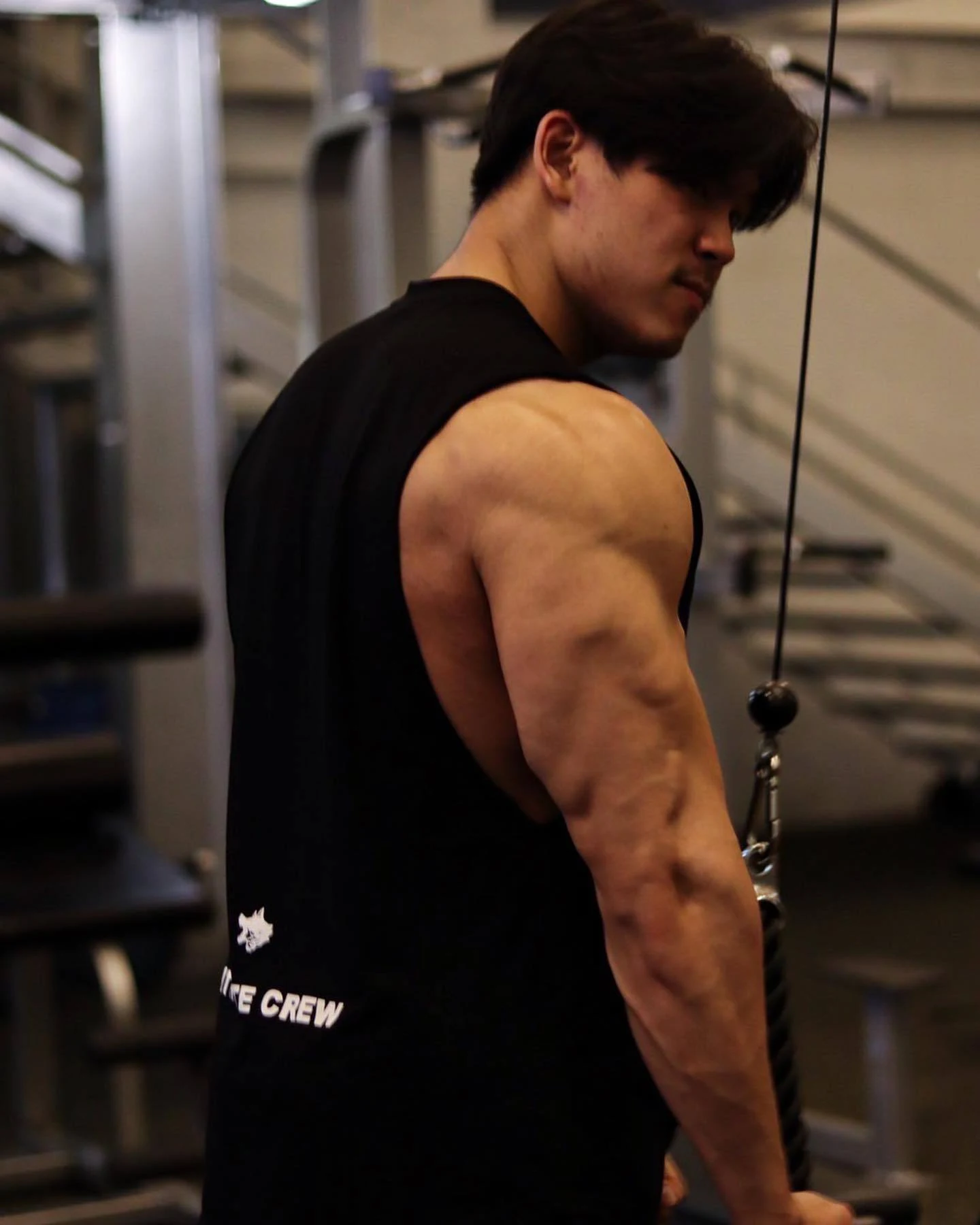 Title 7, Colete esportivo American Fitness masculino Laz...