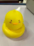 Cute pet yellow duckling