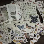 miniatures image - 11