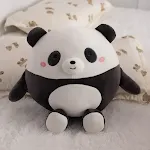 23CM