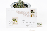 miniatures image - 1