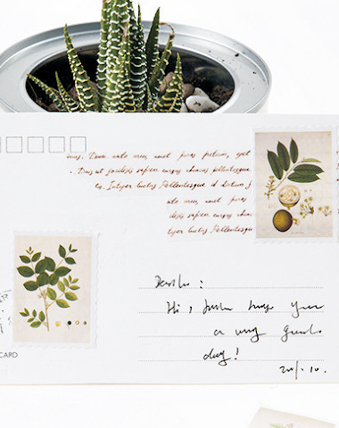 Image product - 1
