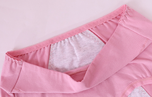 Title 8, Womens Leakproof Cotton Period Underwear, offe...