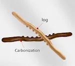 Carbonized 52cm