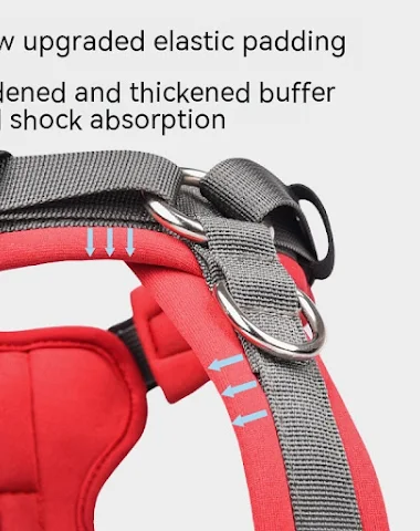 Image product - 2