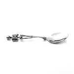 Spoon
