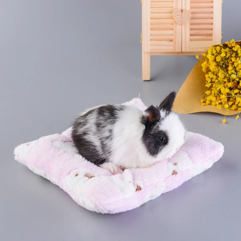 Title 8, Pet rabbit cotton pads Soft and absorbent pads ...