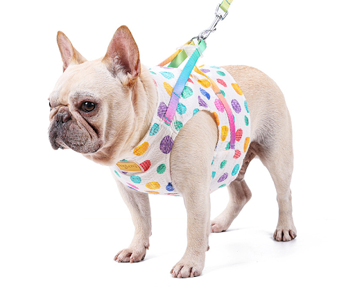 Title 1, Chest Leash Harness for Small to Medium Dogs Se...