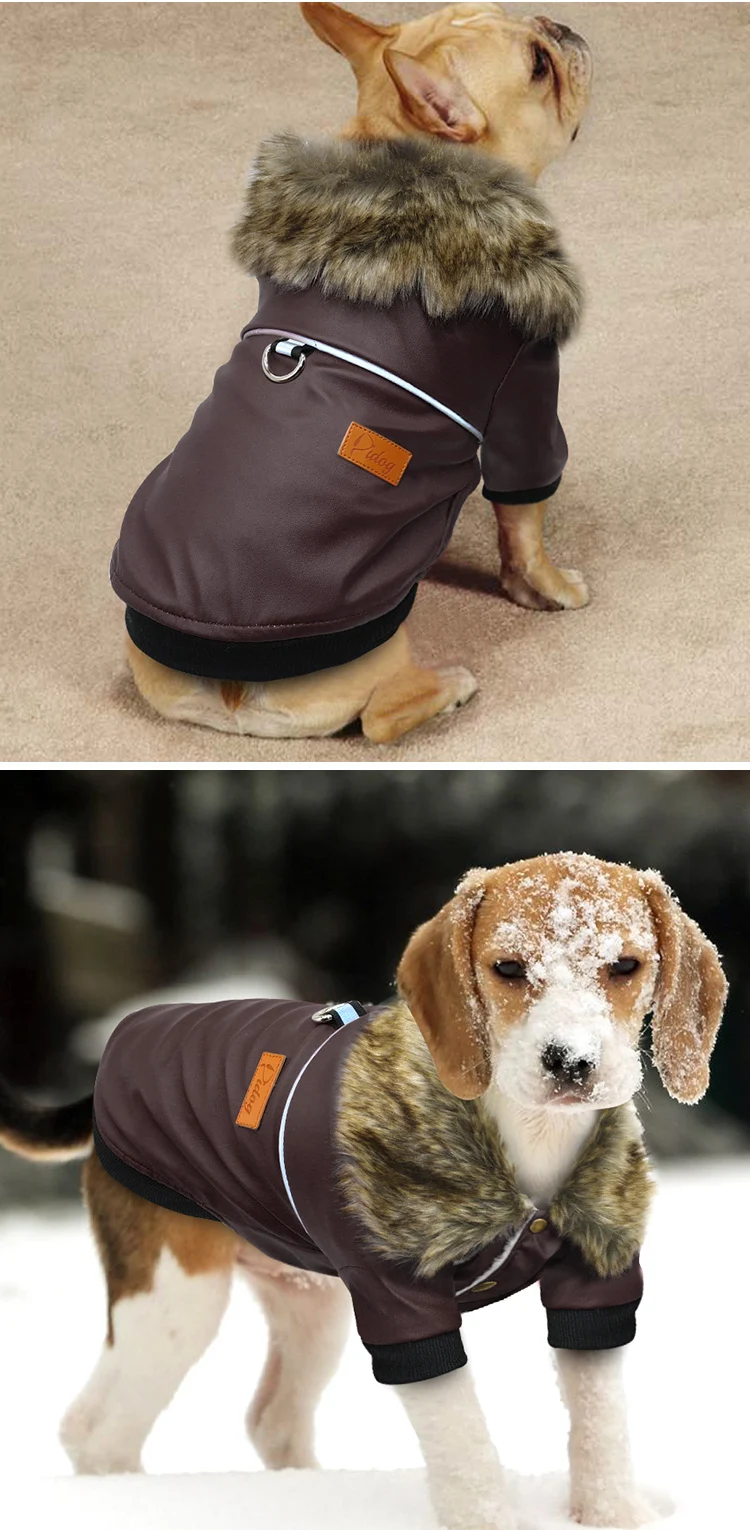 Title 4, Leather dog jacket, stylish and durable. Protec...