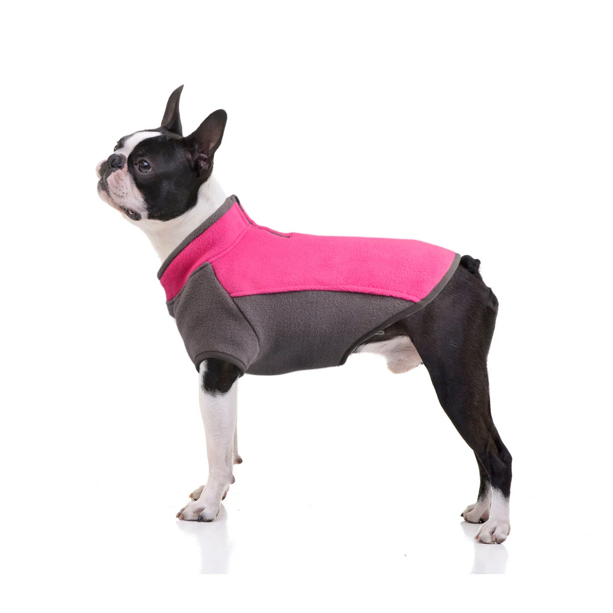 Dog Clothes Autumn and Winter Thickened Warmth Stretch Keep your dog warm and comfortable in the cold season with stylis — photo 3