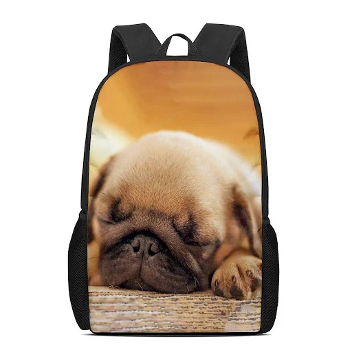 Title 5, Pug Dog Custom Pattern Student Backpack