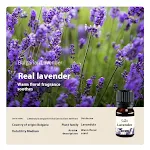 Difusor de Óleo Aromático de Madeira Maciça para Carro, Aromaterapia no Veículo, Purifica o Ar, Bem-Estar em Cada Viagem, Design Elegante. — foto 3
