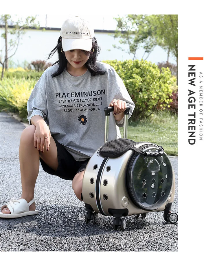 Title 53, Small Handbag Cats Carriers Transportin Outdoor...