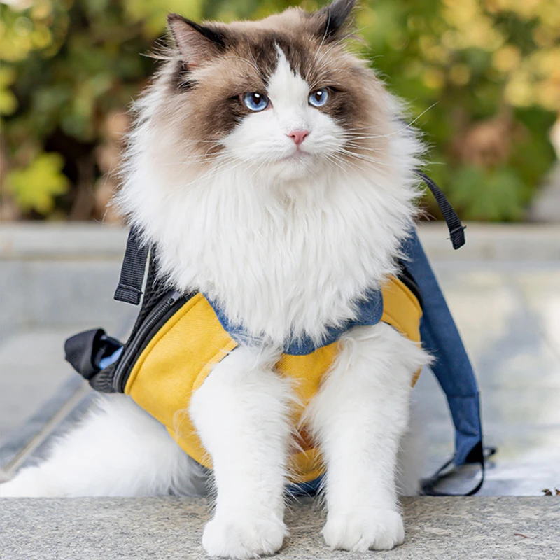 Title 8, Pet Backpack Cute Cat Denim Backpack Double Sho...