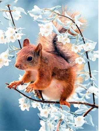 Title 1, Squirrel Eating Pine Cones on Tree Canvas Paint...