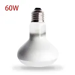 60W